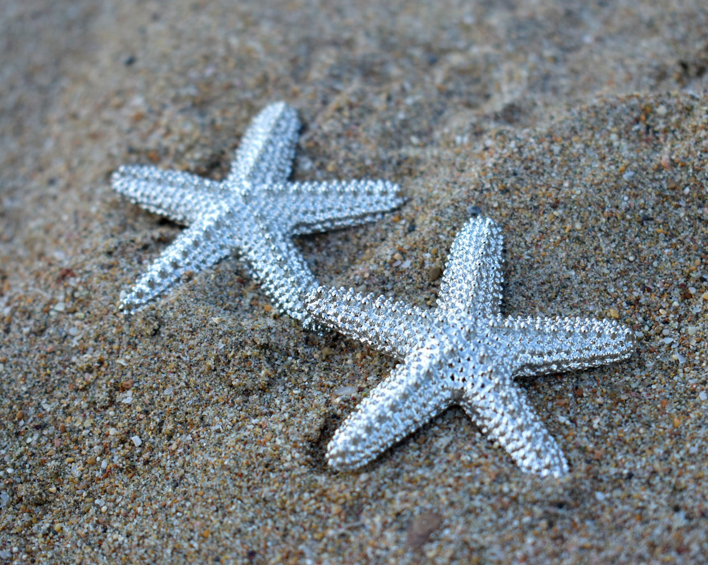 Starfish Shine Earrings