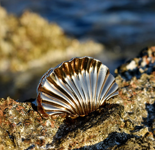 Golden Seashell Hair Claw