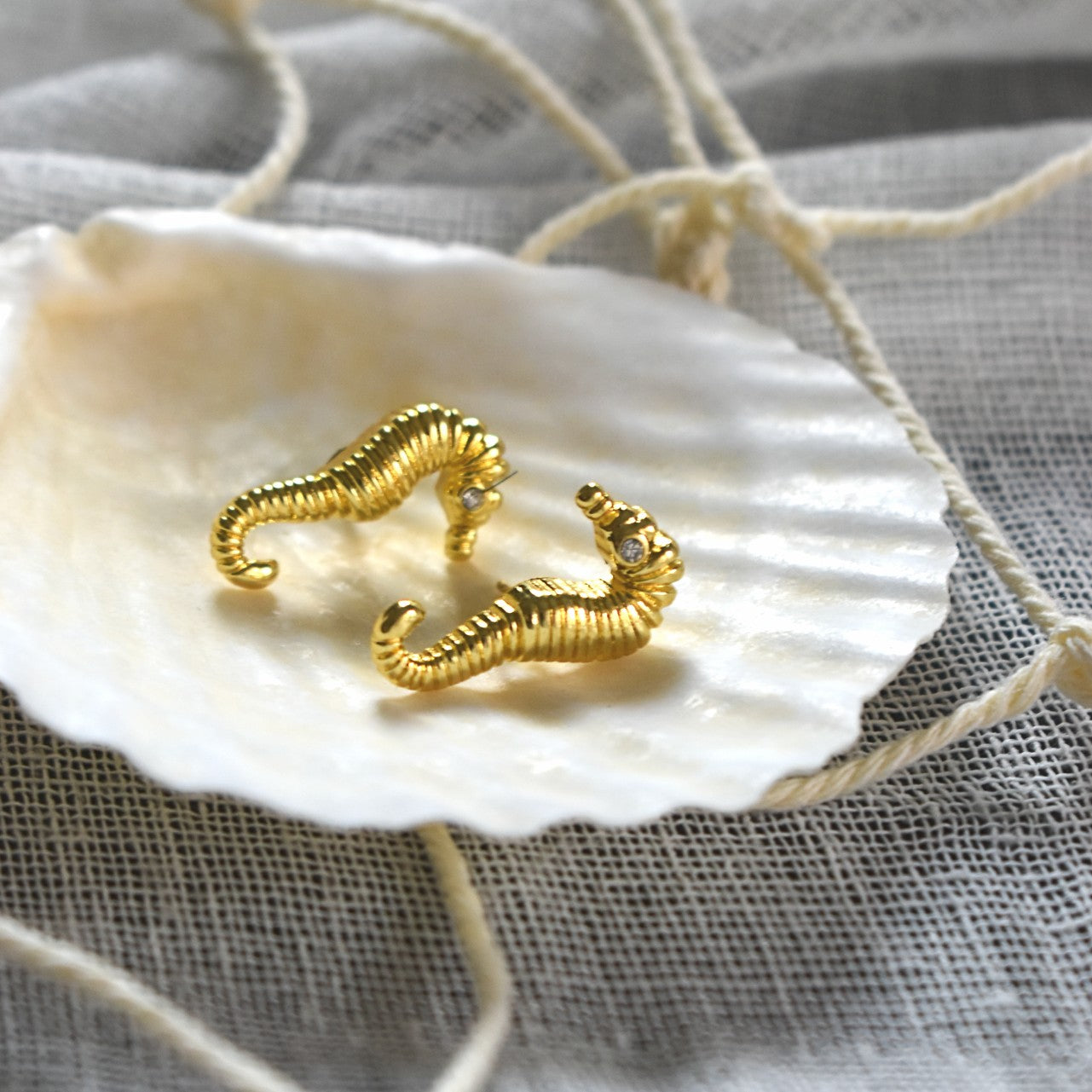 Seahorse Earrings