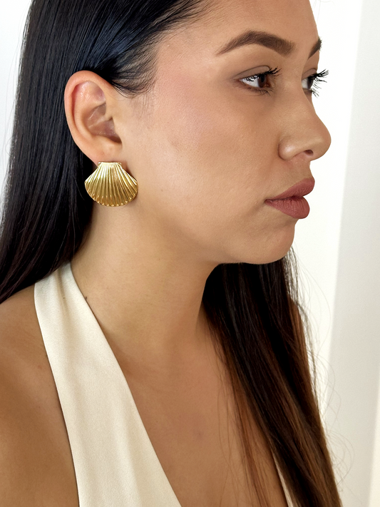 Shell Earrings